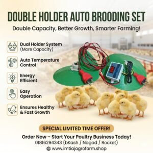 ডাবল হোল্ডার অটো ব্রুডার সেট