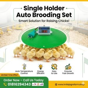 সিঙ্গেল হোল্ডার অটো ব্রুডার সেট